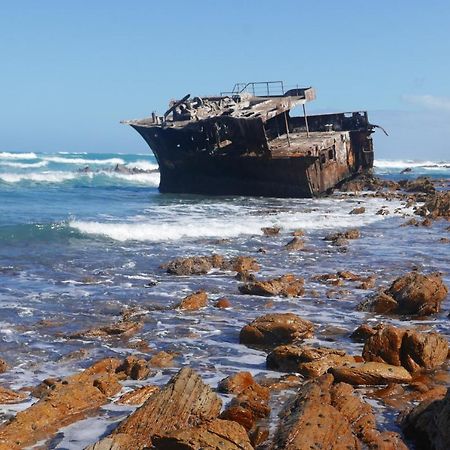Appartamento C-Pampoentjie Struisbaai Esterno foto