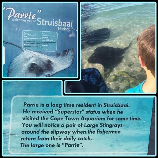 Appartamento C-Pampoentjie Struisbaai Esterno foto